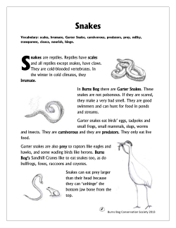Snakes - Burns Bog Conservation Society