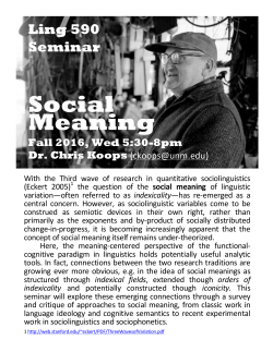 social meaning