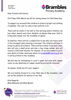 Red Nose Day - Brambles Primary Academy