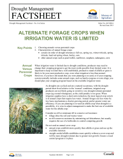 Alternate Forage Crops When Irrigation Water is Limited