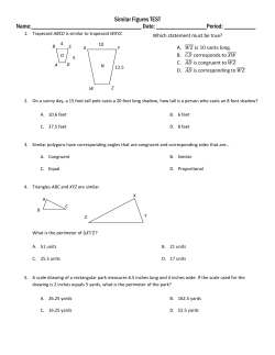 Similar Figures Test