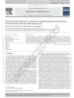 Protein dynamics detected in a membrane