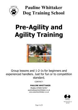 Beginners Agility - Pauline Whittaker Dog Training School