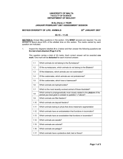 I YEAR JANUARY/FEBRUARY 2007 ASSESSMENT SESSION