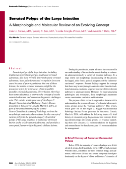 Serrated Polyps of the Large Intestine A Morphologic and Molecular