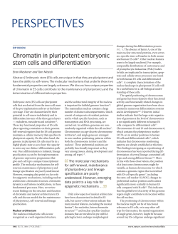 perspectives - Meshorer Lab