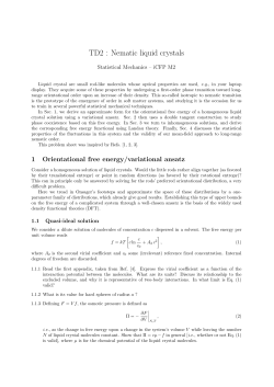 TD2 : Nematic liquid crystals