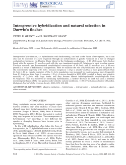 Introgressive hybridization and natural selection in Darwin`s finches