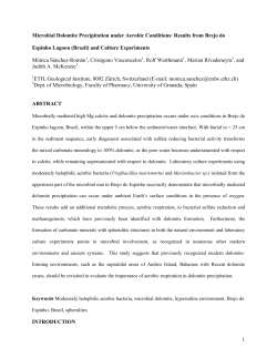 1 Microbial Dolomite Precipitation under Aerobic Conditions