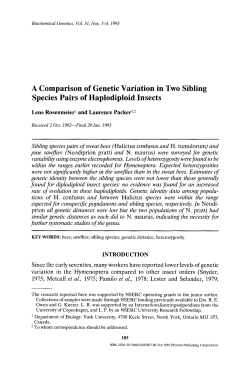 A comparison of genetic variation in two sibling