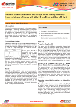 Influence of Ethidium Bromide and UV-light on the cloning efficiency