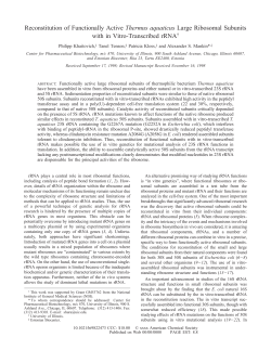 Reconstitution of Functionally Active Thermus aquaticus Large