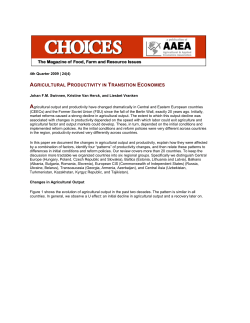 agricultural productivity in transition economies