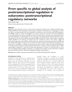 posttranscriptional regulatory networks