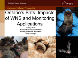 Ontario`s Bats: Impacts of WNS and Monitoring Applications