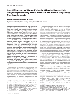 Identification of Base Pairs in Single