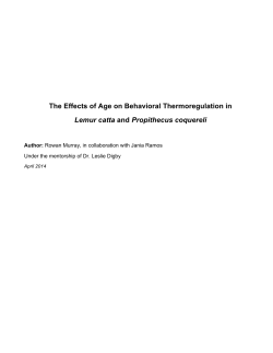 The Effects of Age on Behavioral Thermoregulation in