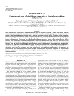 Dietary protein level affects iridescent coloration in Anna`s
