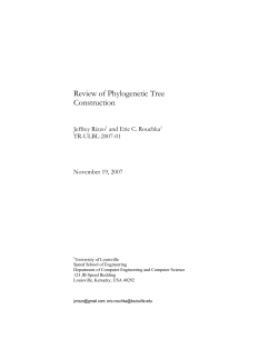 Review of Phylogenetic Tree Construction
