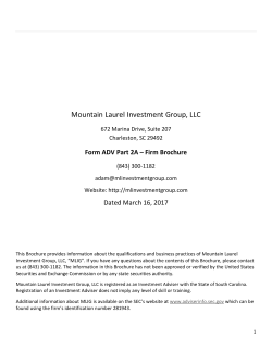 Item 1: Cover Page - Mountain Laurel Investment Group