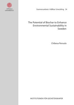 The Potential of Biochar to Enhance Environmental