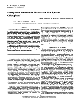 Chloroplasts - Plant Physiology
