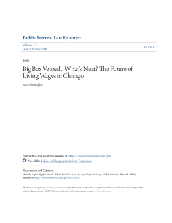 Big Box Vetoed... What`s Next? The Future of
