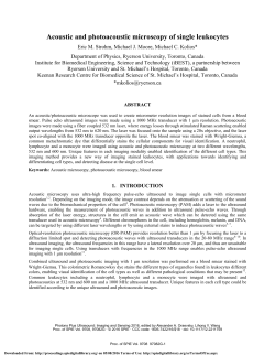 Acoustic and photoacoustic microscopy imaging of single leukocytes