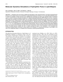 Molecular Dynamics Simulations of Hydrophilic Pores in Lipid Bilayers