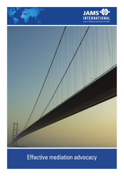 Effective mediation advocacy