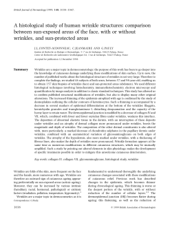 A histological study of human wrinkle structures: comparison