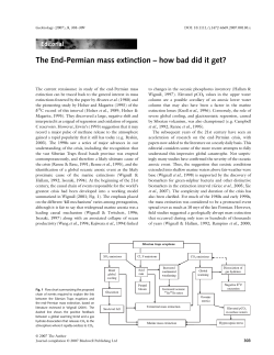 The End-Permian mass extinction &ndash; how bad did it
