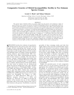 Comparative Genetics of Hybrid Incompatibility: Sterility in Two