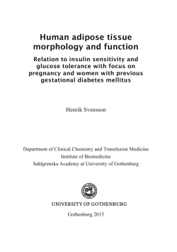 Human adipose tissue morphology and function