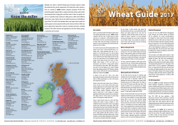 nabim Wheat Guide 2017 Provides the UK Flour Milling Industry`s