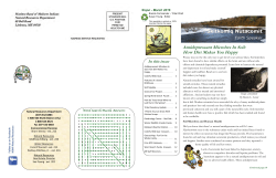 Antidepressant Microbes In Soil: How Dirt Makes You Happy