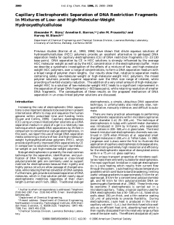Capillary Electrophoretic Separation of DNA Restriction Fragments