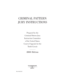CRIMINAL PATTERN JURY INSTRUCTIONS