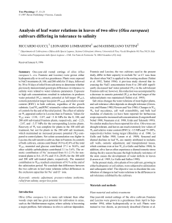 Analysis of leaf water relations in leaves of two olive (Olea europaea