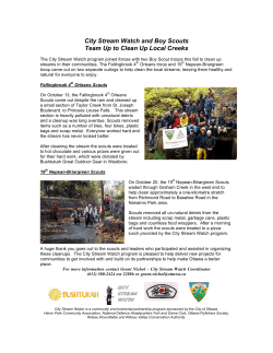 City Stream Watch and Boy Scouts Team Up to Clean Up Local