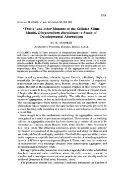 Fruity` and other Mutants of the Cellular Slime Mould