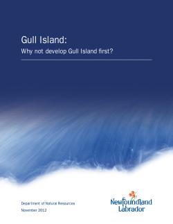 Gull Island - Muskrat Falls Project