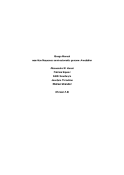 ISsaga Manual (Version 1.0)