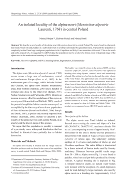 An isolated locality of the alpine newt