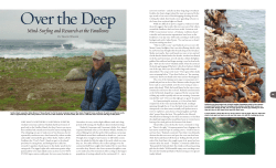 story - Thayer Walker