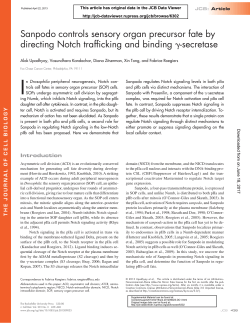 Sanpodo controls sensory organ precursor fate by directing Notch