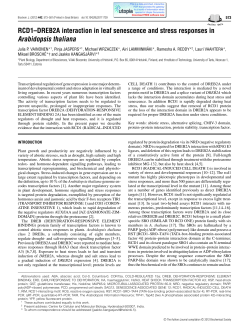 RCD1–DREB2A interaction in leaf senescence and stress