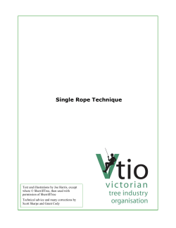Single Rope Technique - Victorian Tree Industry Organisation