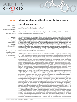 Mammalian cortical bone in tension is non-Haversian