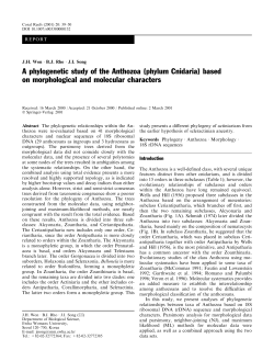 A phylogenetic study of the Anthozoa (phylum Cnidaria